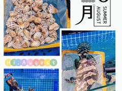 -四川小胡子海鲜(丁村万人海鲜广场店)