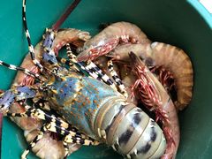 -真浪花园海鲜餐馆