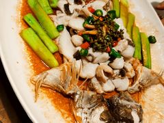 鲜花椒蒸鱼-猪肉婆私房菜(容桂总店)