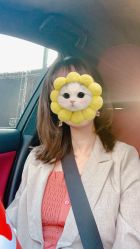 中发-XY形象设计/烫发·染发·接发