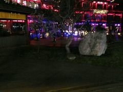 -美食村花园餐厅