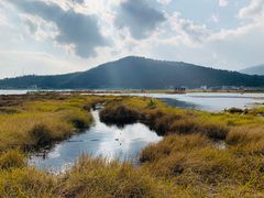 -腾冲北海湿地