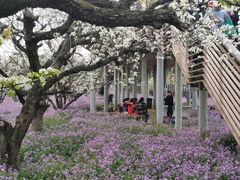 -江苏三台山国家森林公园