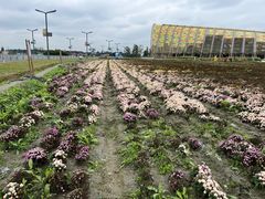 -中国天府农业博览园