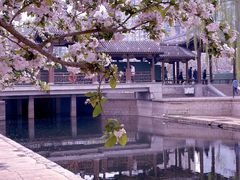 -元大都城垣遗址公园