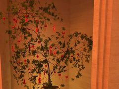 -舒小悦·舒养SPA·古法推拿(光环中心店)