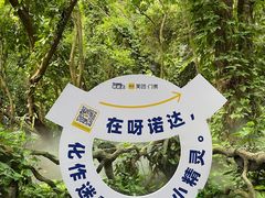 -呀诺达热带雨林