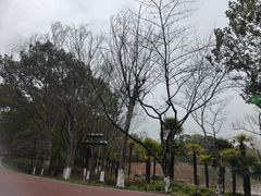 -金鸡湖桃花岛