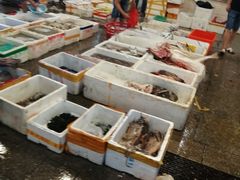 -华威西营里农产品批发市场