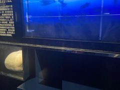 -同济大学四平路校区深海探索馆