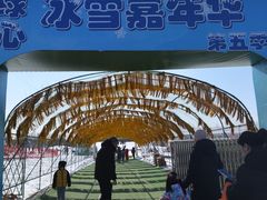 -绿野森林乐园冰雪季