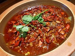 -杨记隆府(重庆总店)