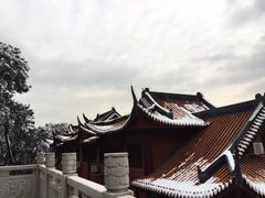 -铁山坪森林公园