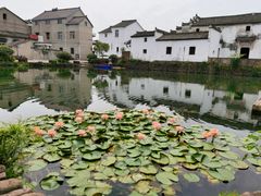 -东梓关景区村庄