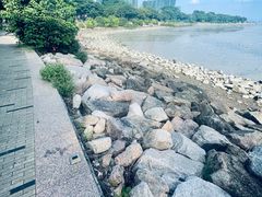 -深圳湾公园(南山区)