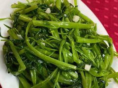 通菜-蛇口康乐快餐鱼仔档(翠苑小区店)