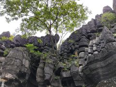 -梭布垭石林景区