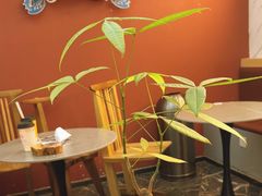 -霸王茶姬(公园1903店)