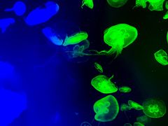 -成都浩海立方海洋公园