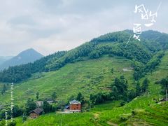 -紫鹊界梯田景区