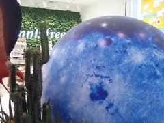 -凯德MALL(望京店)