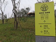 -白鹭湾湿地公园