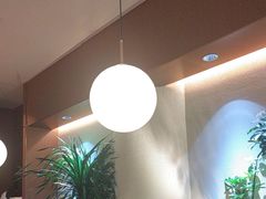 -奈雪的茶(石家庄万象城店)