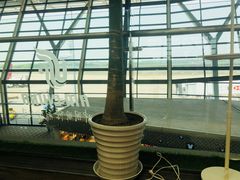 -浦东机场国航头等贵宾室