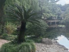 -秋霞圃