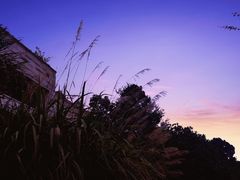 -杭州桐庐康莱德酒店西餐厅-舍