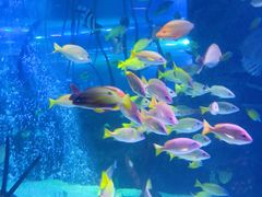 -沈阳海洋探索中心