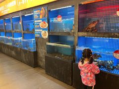-连鹭海鲜·海肠捞饭·海胆饭(星海店)