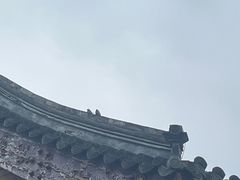 -庆云楼饭庄(什刹海店)