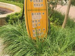 -南宫温泉水世界