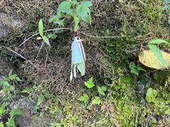 -南窖乡水峪村山情农家