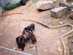 -无锡动物园·太湖欢乐园