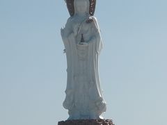 -呼兰河口湿地公园