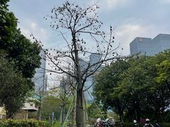 -前海深港基金小镇