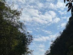 -石台牯牛降景区