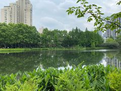 -和平公园