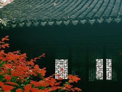-秋霞圃