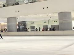 -TheRink大零溜冰场(IFS国金中心店)