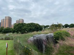 -红花山公园