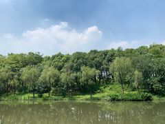 -新江湾城公园