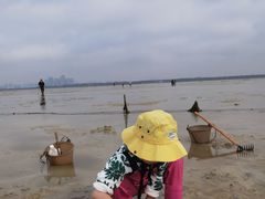 -红树林天天赶海
