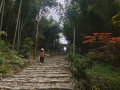 -仙霞关景区