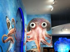 -贝林大翅鲸简餐厅(国家海洋博物馆店)