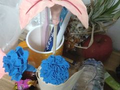 -爱月宝月嫂·育儿嫂(哈尔滨总店)