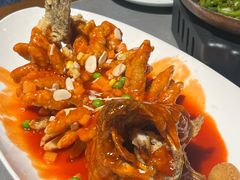 -姑苏家宴·苏帮菜·松鼠桂鱼(苏州总店)