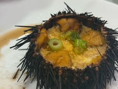 海胆蒸蛋-日月昇渔家菜·海肠捞饭·大连海鲜(星海公园店)